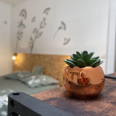 La Maison D'Angelique - Colocation Hoteliere A 150M Gare Tgv- Grande Cuisine Equipee & Salon - Fibre - Netflix 尼奥尔 外观 照片